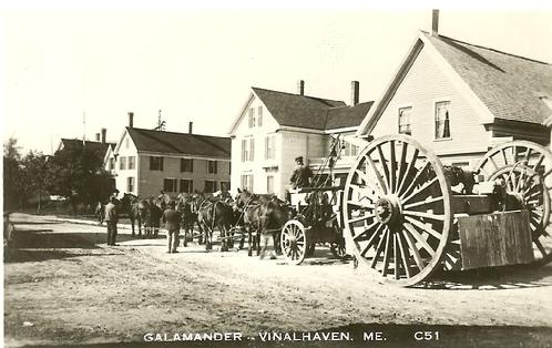 vinalhaven galamander
