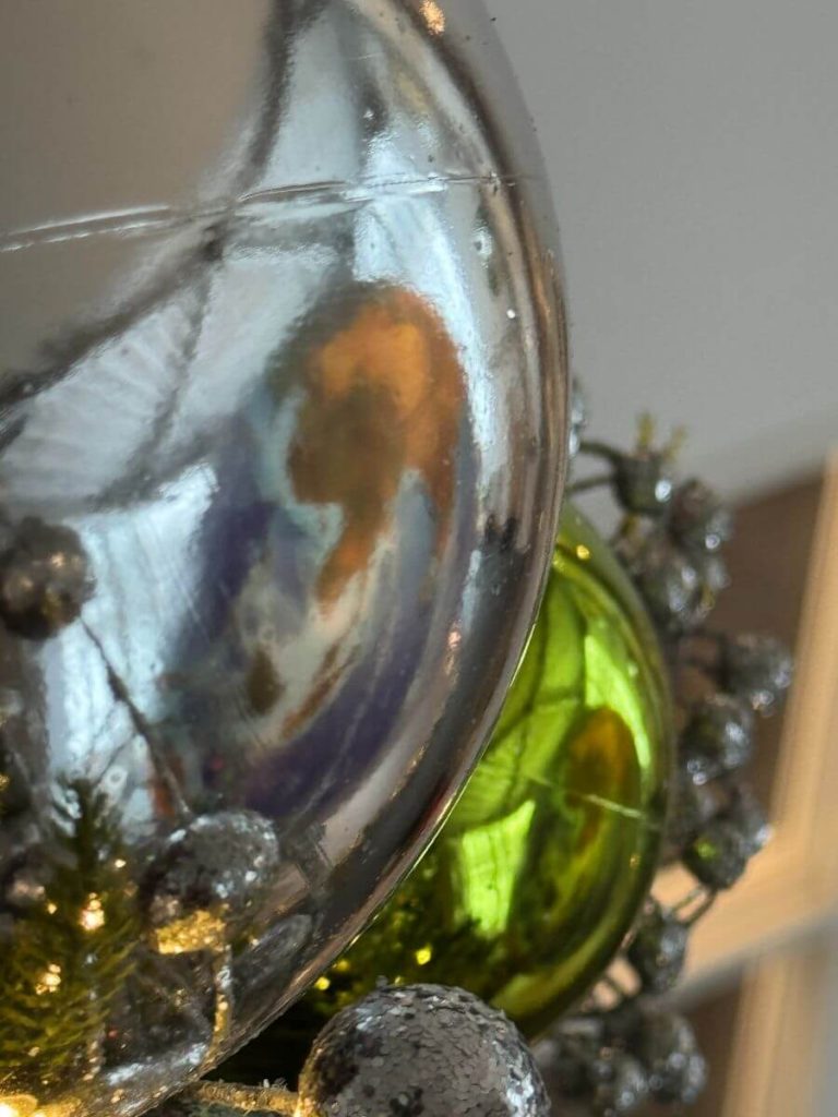 eartha reflection