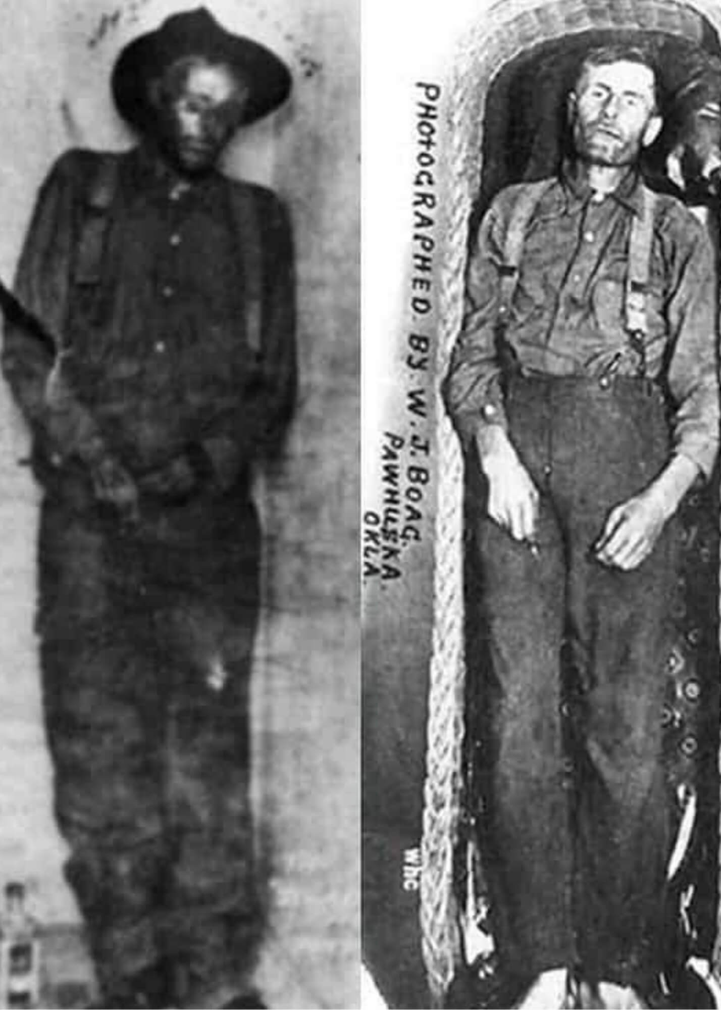 elmer mccurdy display